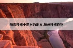 <b>������ֲ��ҩ�ĵĵط�,������ֲ����</b>