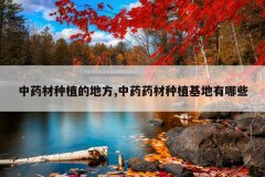 <b>��ҩ����ֲ�ĵط�,��ҩҩ����ֲ��������Щ</b>