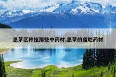 <b>˼é����ֲ��Щ��ҩ��,˼é�ĵ���ҩ��</b>