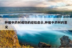 <b>��ֲ��ҩ�ĳɹ��ľ�����ʾ,��ֲ��ҩ�ĵ�����</b>