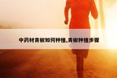 <b>��ҩ���ཷ�����ֲ,�ཷ��ֲ����</b>