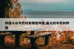 <b>��ֲС����ҩ������Щ����,������ҩ����ֲ</b>