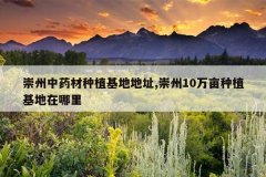 <b>������ҩ����ֲ���ص�ַ,����10��Ķ��ֲ����������</b>