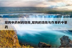 <b>˫����ҩ�ĵĹ�Ч,˫���Ĺ�Ч�����õ��в�ҩ</b>