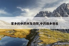 <b>�������ҩ�ļ���Ч,��ҩ�������</b>