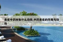 <b>��Ƥ��ҩ����ʲô��Ч,��ҩ��Ƥ�������빦Ч</b>