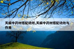 <b>������ҩ�Ĵ��书Ч,������ҩ�Ĵ��书Ч������</b>