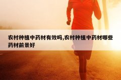 <b>ũ����ֲ��ҩ����Ч��,ũ����ֲ��ҩ����Щҩ��ǰ����</b>