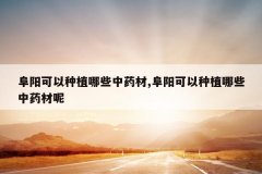 <b>����������ֲ��Щ��ҩ��,����������ֲ��Щ��ҩ����</b>