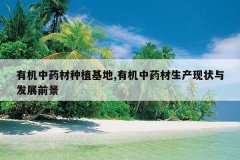 <b>�л���ҩ����ֲ����,�л���ҩ��������״�뷢չǰ��</b>