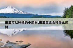 <b>���������ֲ����ҩ��,�������ʺ���ʲôҩ��</b>