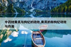 <b>��ҩ�Ļ�������轵Ĺ�Ч,���εĺ���轹�Ч������</b>