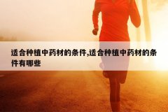 <b>�ʺ���ֲ��ҩ�ĵ�����,�ʺ���ֲ��ҩ�ĵ���������Щ</b>