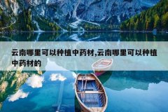 <b>�������������ֲ��ҩ��,�������������ֲ��ҩ�ĵ�</b>