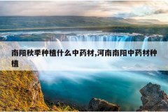 <b>�����＾��ֲʲô��ҩ��,����������ҩ����ֲ</b>