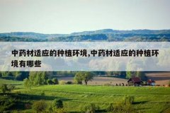 <b>��ҩ����Ӧ����ֲ����,��ҩ����Ӧ����ֲ��������Щ</b>
