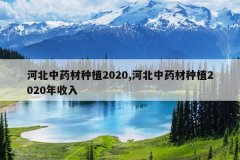 <b>�ӱ���ҩ����ֲ2020,�ӱ���ҩ����ֲ2020������</b>