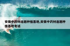 <b>������ҩ��������ֲ����,������ҩ��������ֲ���ص绰</b>
