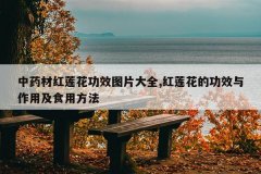<b>��ҩ�ĺ�������ЧͼƬ��ȫ,�������Ĺ�Ч�����ü�ʳ�÷���</b>