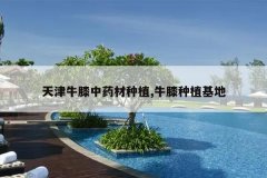 <b>���ţϥ��ҩ����ֲ,ţϥ��ֲ����</b>