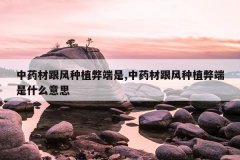 <b>��ҩ�ĸ�����ֲ�׶���,��ҩ�ĸ�����ֲ�׶���ʲô��˼</b>