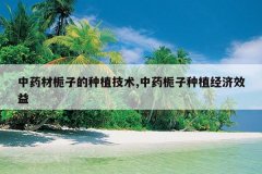 <b>��ҩ�����ӵ���ֲ����,��ҩ������ֲ����Ч��</b>