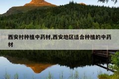 <b>��������ֲ��ҩ��,���������ʺ���ֲ����ҩ��</b>