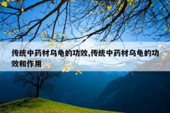 <b>��ͳ��ҩ���ڹ�Ĺ�Ч,��ͳ��ҩ���ڹ�Ĺ�Ч������</b>