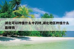 <b>����������ֲʲô��ҩ��,����������ֲʲô��׬Ǯ</b>