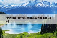 <b>��ҩ����¥��ֲ����ppt,�������¥ ҩ��</b>