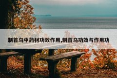 <b>��������ҩ�Ĺ�Ч����,�����ڹ�Ч�����ù�</b>