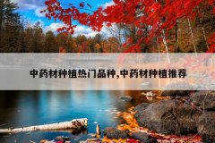 <b>��ҩ����ֲ����Ʒ��,��ҩ����ֲ�Ƽ�</b>