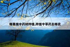 <b>��������ҩ����ֲ,��ֲ�в�ҩȥ����</b>