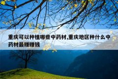 <b>���������ֲ��Щ��ҩ��,���������ʲô��ҩ����׬׬Ǯ</b>