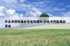 <b>ʲô��ҩ����������Ч����,ʲô��ҩ����������</b>