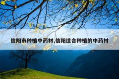 <b>��������ֲ��ҩ��,�����ʺ���ֲ����ҩ��</b>