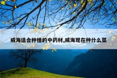 <b>�����ʺ���ֲ����ҩ��,����������ʲô��</b>