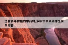 <b>�ʺ϶�����ֲ����ҩ��,�������в�ҩ��ֲǰ������</b>
