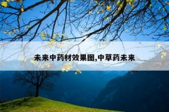 <b>δ����ҩ��Ч��ͼ,�в�ҩδ��</b>