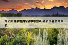 <b>�Ჴ������ֲ��ҩ������Ƶ,�Ჴ�������в�ҩ</b>