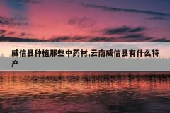 <b>��������ֲ��Щ��ҩ��,������������ʲô�ز�</b>