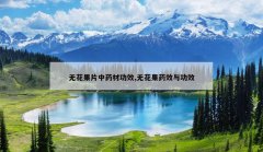 <b>�޻���Ƭ��ҩ�Ĺ�Ч,�޻���ҩЧ�빦Ч</b>
