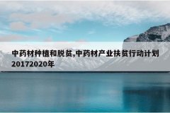 <b>��ҩ����ֲ����ƶ,��ҩ�Ĳ�ҵ��ƶ�ж��ƻ�20172020��</b>