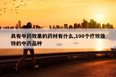 <b>������ҩЧ����ҩ����ʲô,100����Ч���ص���ҩƷ��</b>