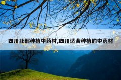 <b>�Ĵ�������ֲ��ҩ��,�Ĵ��ʺ���ֲ����ҩ��</b>