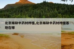 <b>����ϡȱ��ҩ����ֲ,����ϡȱ��ҩ����ֲ��������</b>