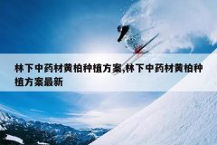 <b>������ҩ�Ļư���ֲ����,������ҩ�Ļư���ֲ��������</b>