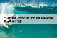 <b>��ҩ�Ĳ����Ч������,��ҩ����Ĺ�Ч�����õĹ�Ч������</b>