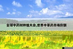<b>��ҩ�ķ��۹�Ч,���۵������빦Ч ��ҽ</b>