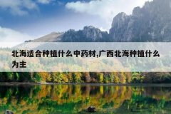 <b>�����ʺ���ֲʲô��ҩ��,����������ֲʲôΪ��</b>